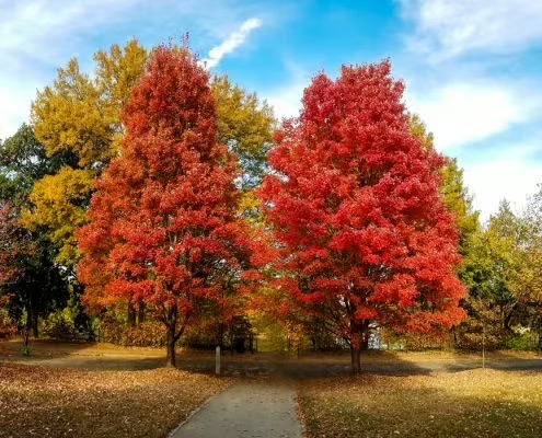 The Ultimate Atlanta Fall Bucket List: Bites, Patios, Porchfests & North Georgia Mountain&nbsp;Escapes